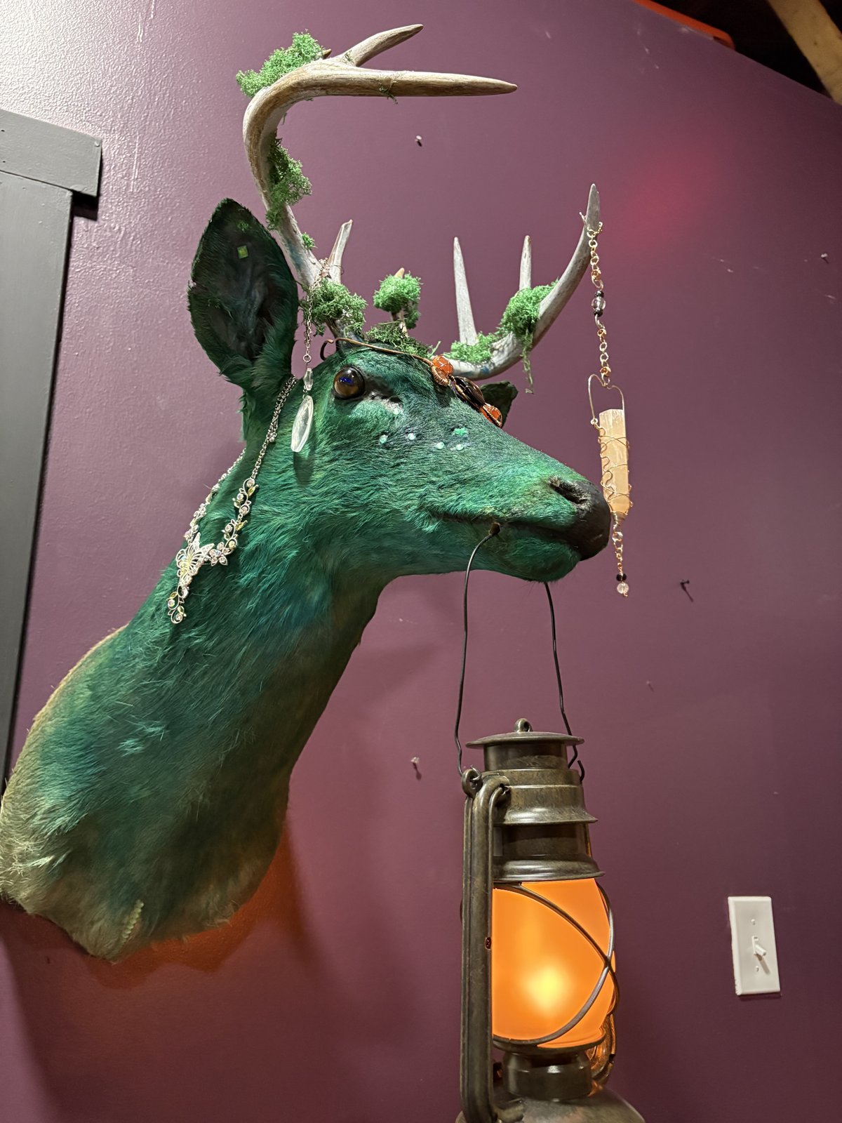 Inside The Velvet Collective storefront